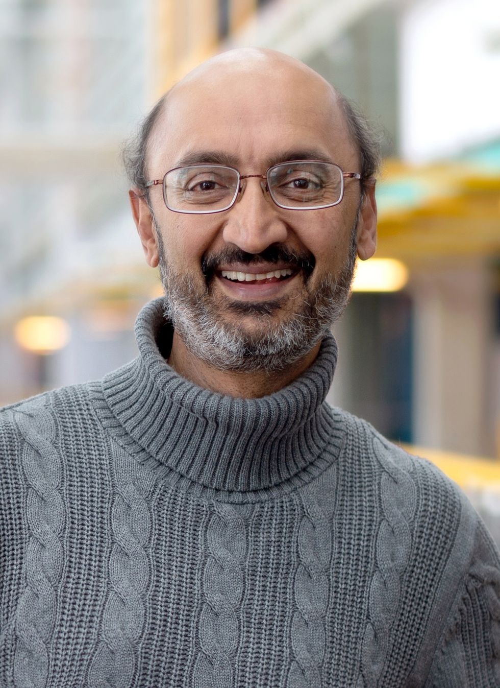 INSET 2 Srinivasan Keshav credit Petrik