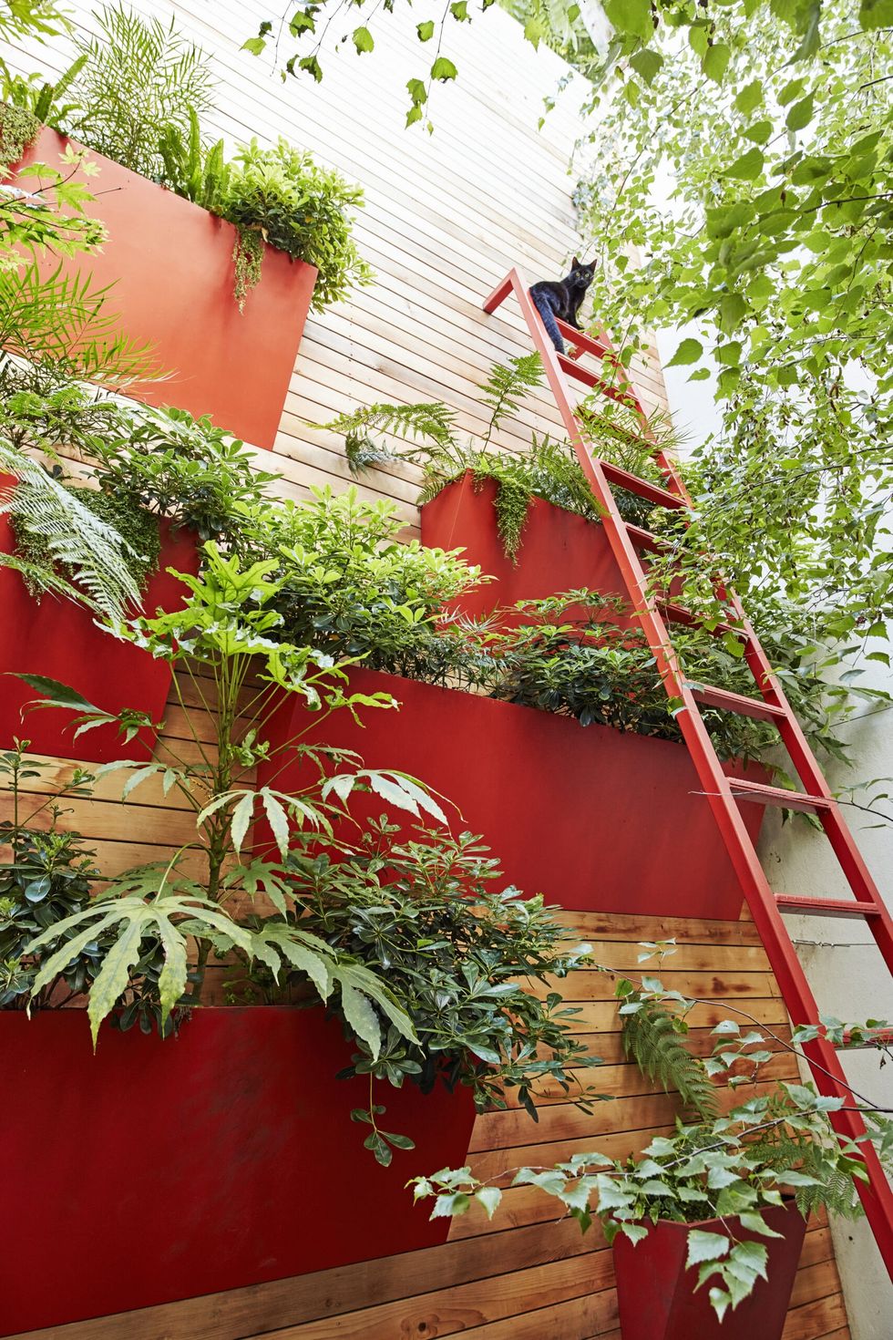 INSET 2 Vertical planting harrison florence