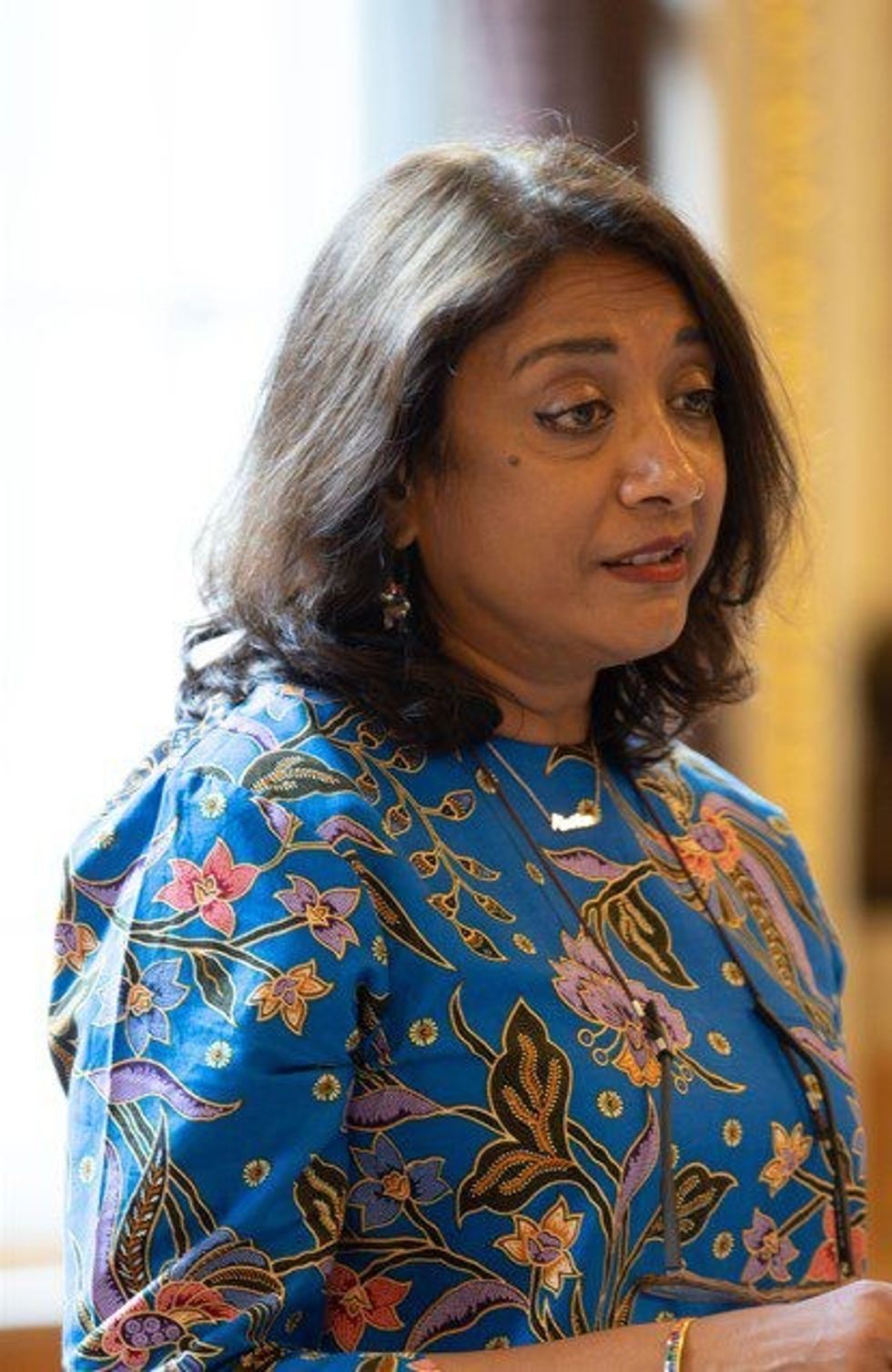 Inset 2 Windrush Event 227