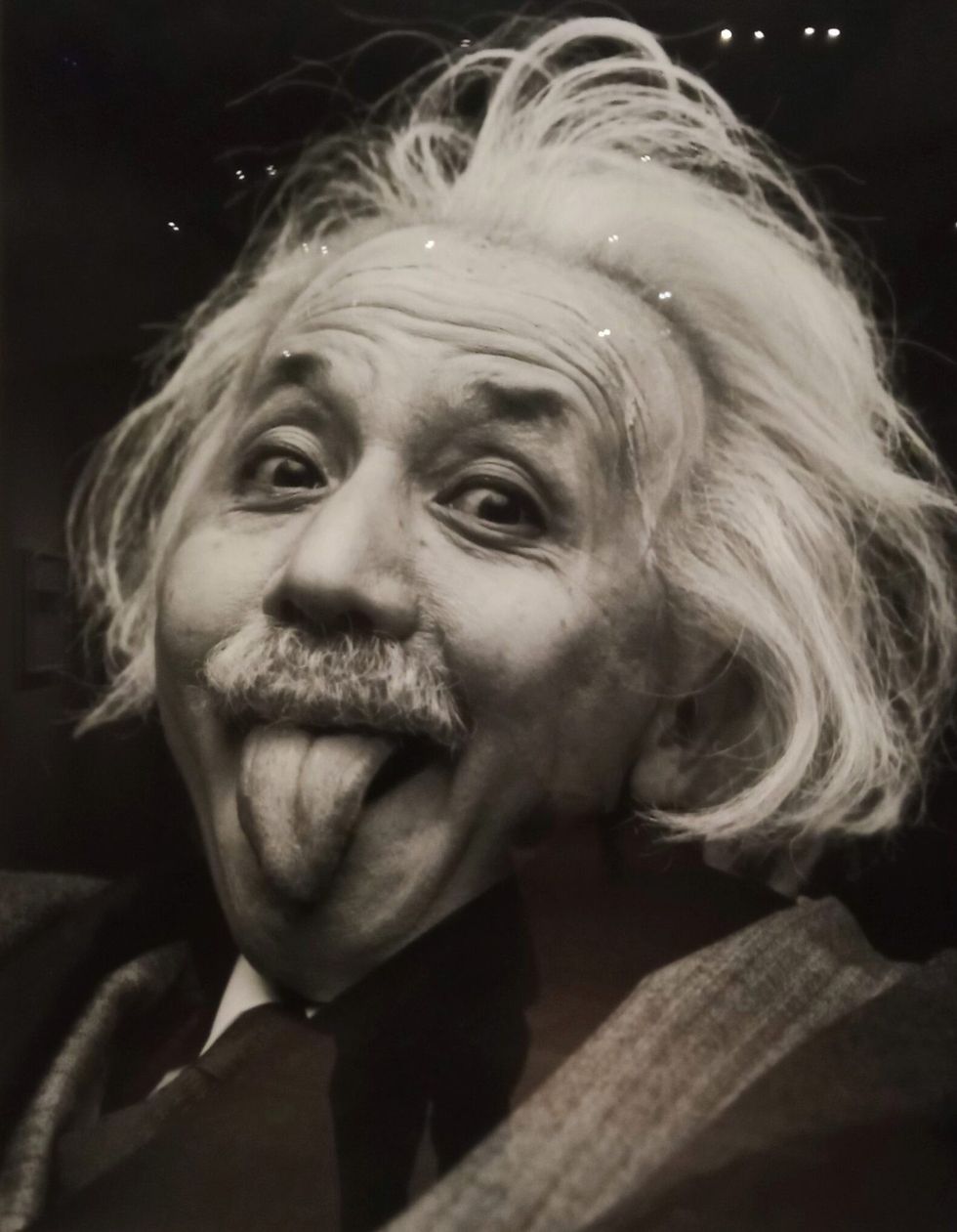 INSET 5 Fragile Beauty VA exhibition pic three 19 May 2024 scaled e1716625883119