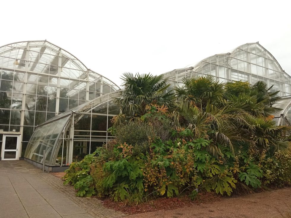 INSET EE visit to RHS Wisley glass house 18 October 2023