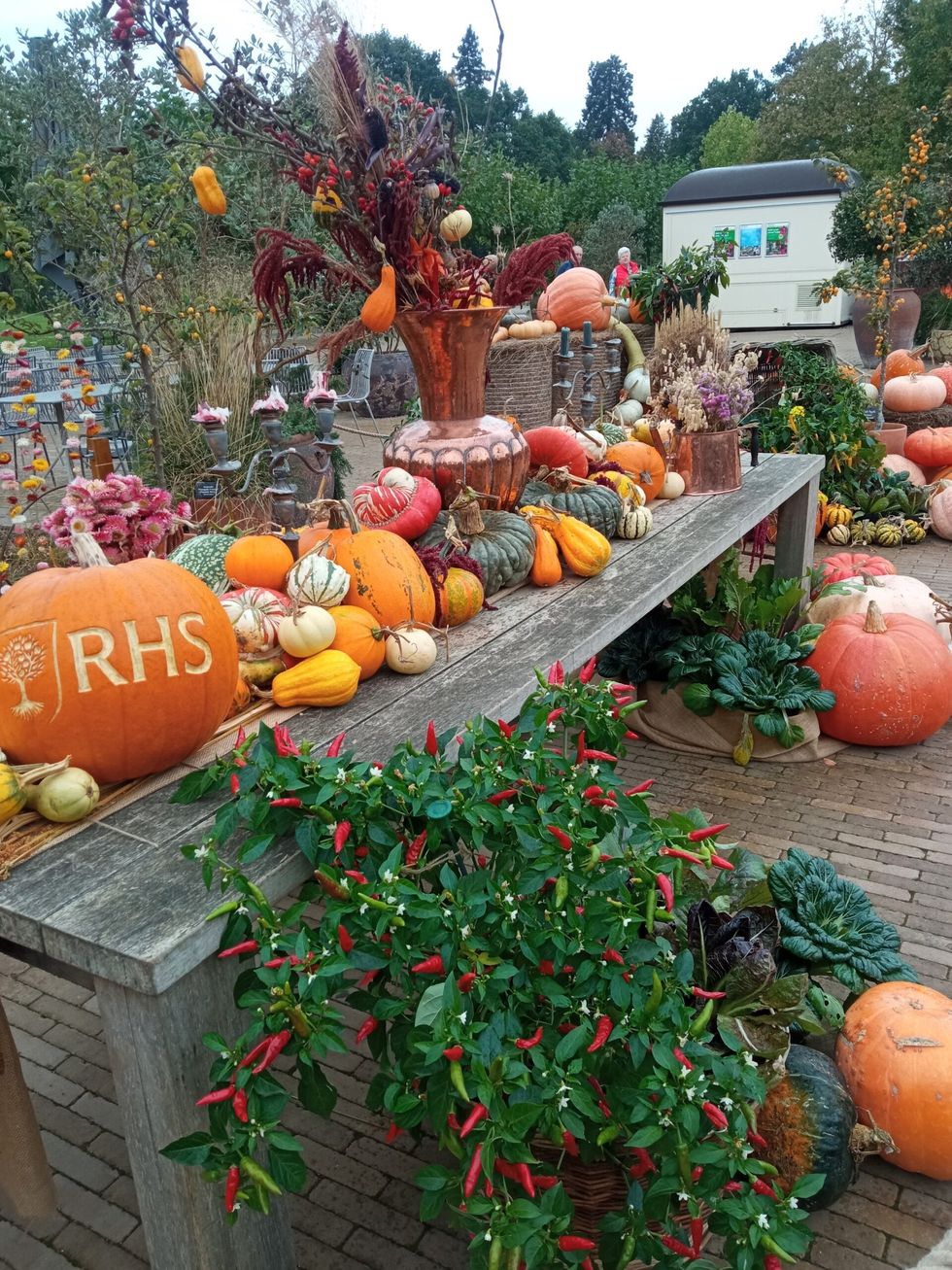 INSET EE visit to RHS Wisley produce from Wisley world food garden 18 October 2023