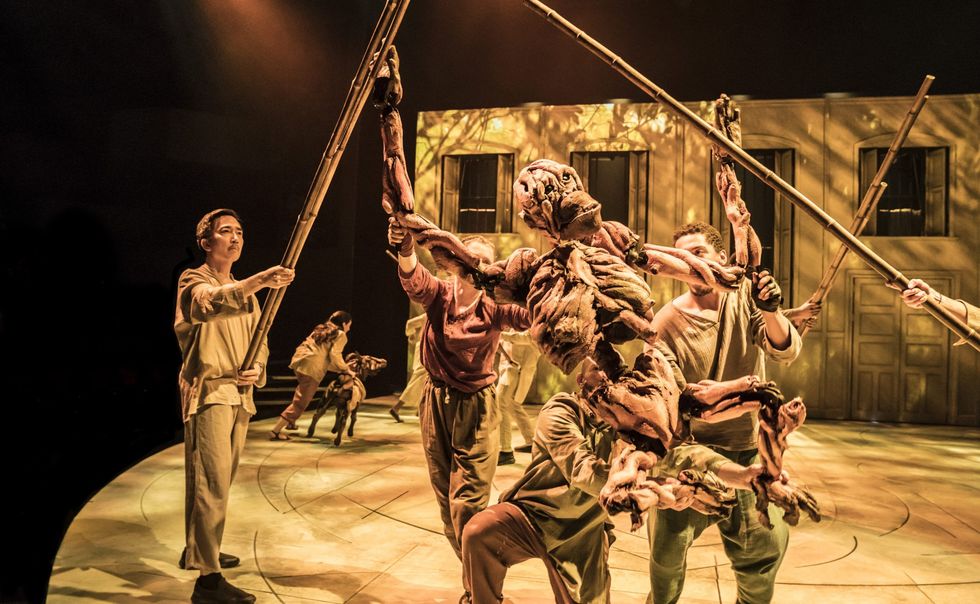 INSET The Company of Life of Pi. Photo by Johan Persson.