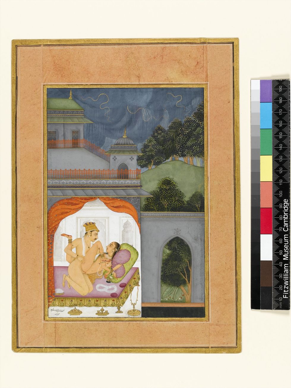 INSET The proper posture for the female type Citrini 1