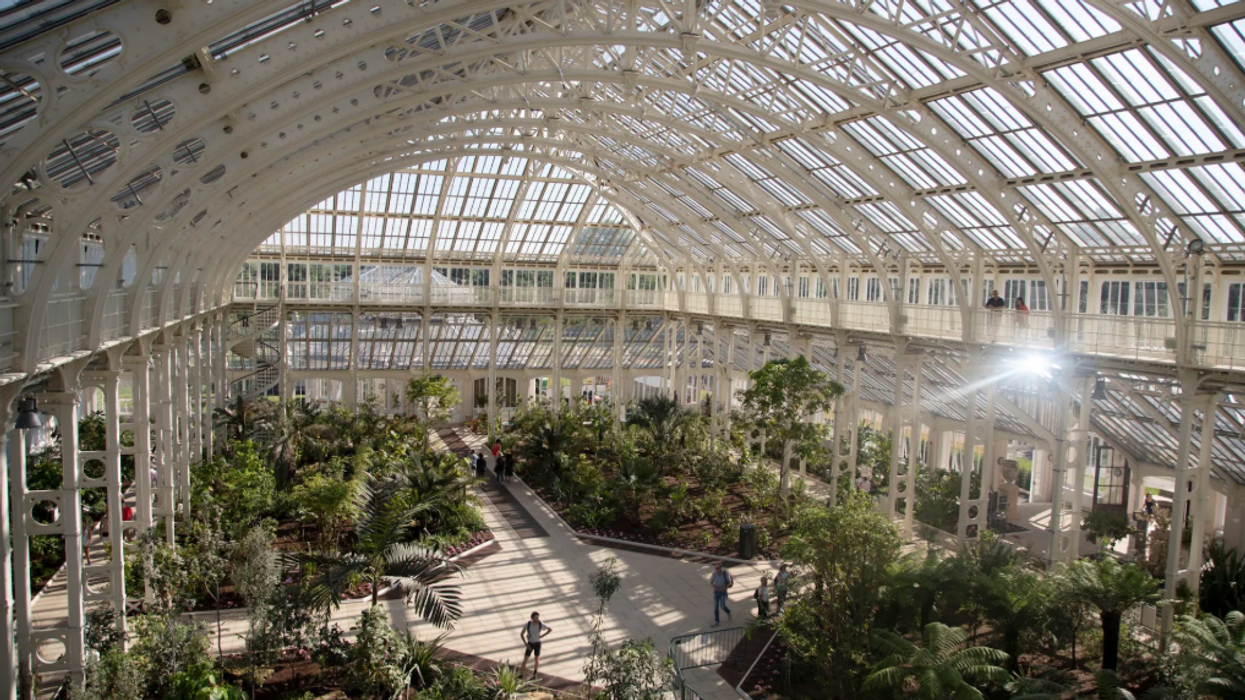 Kew Gardens begins ambitious revamp of Palm House
