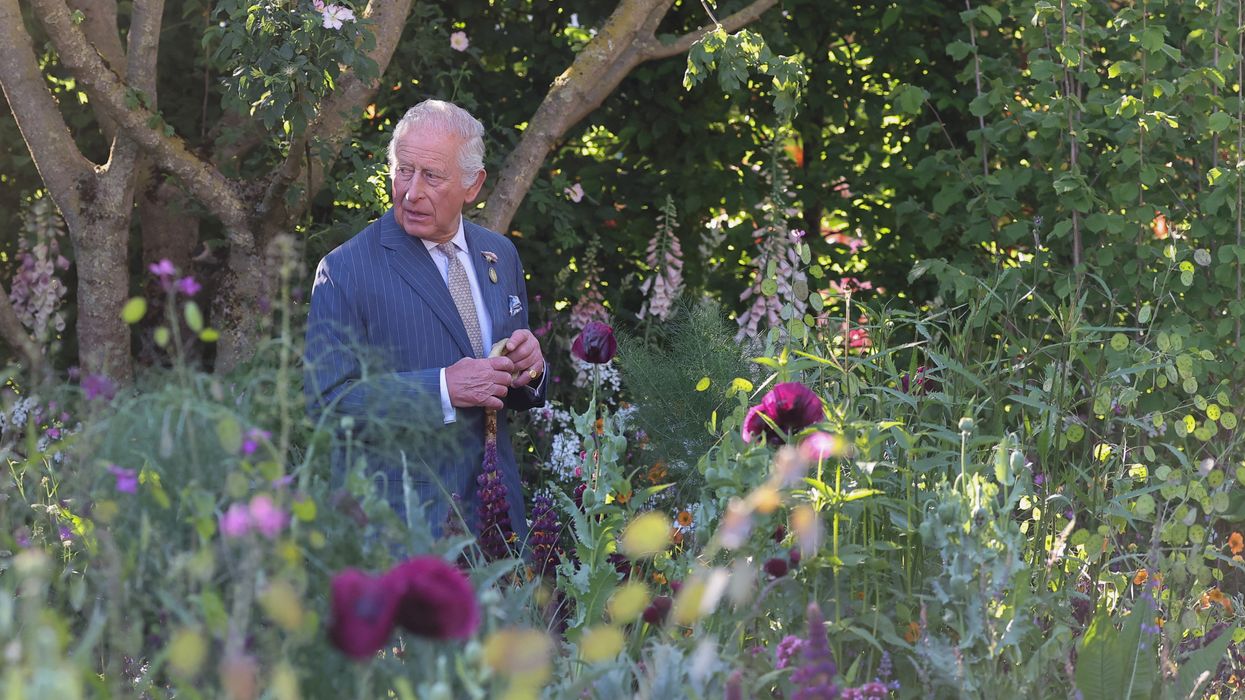 Chelsea Flower Show highlights Royal-inspired roses and eco-friendly innovation