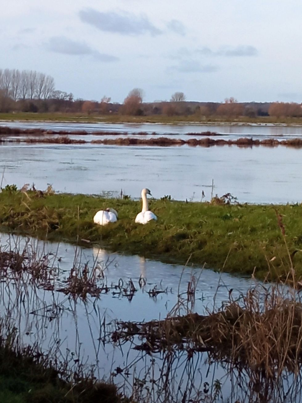 LEAD Amit 1 INSET Flooded farms in Suffolk