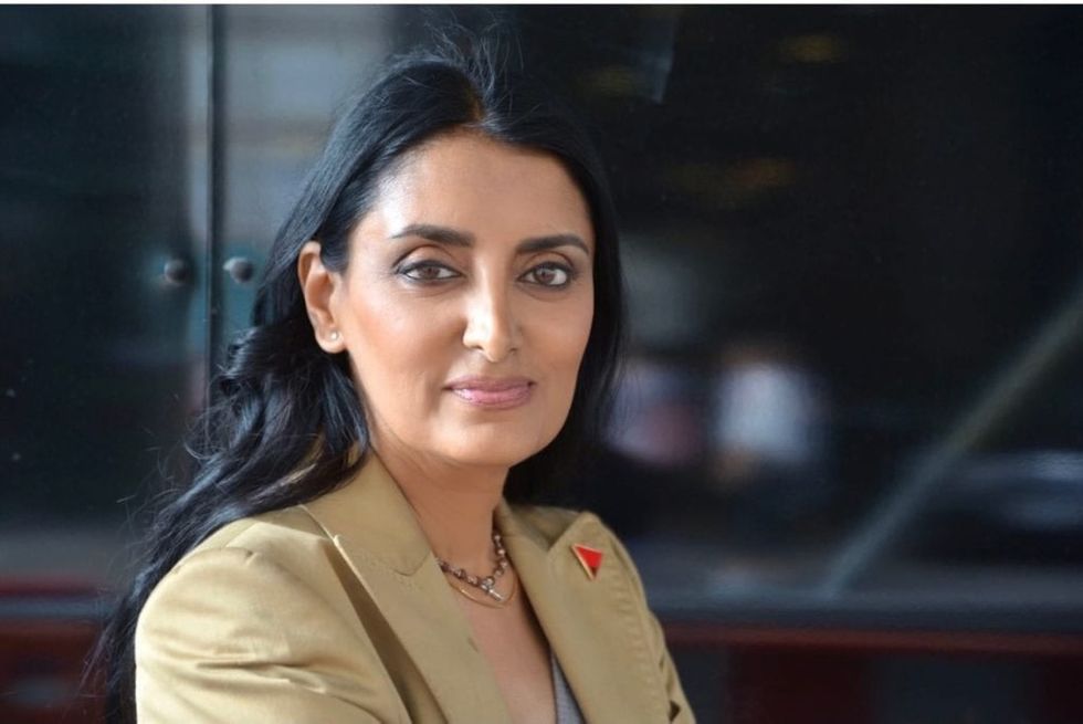 LEAD Domestic abuse bill INSET Aneeta Prem