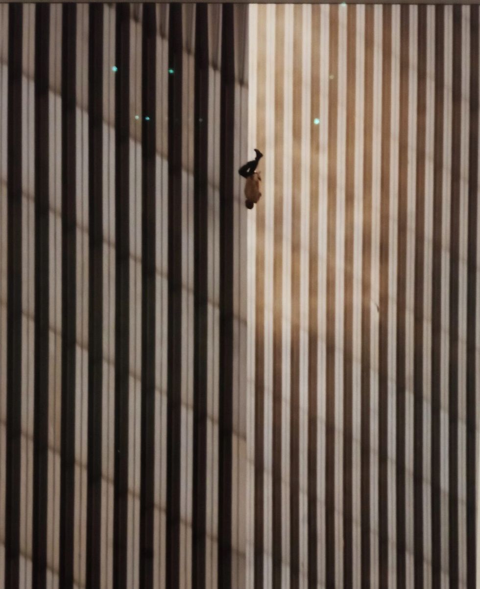 LEAD Fragile Beauty VA exhibition pic six 19 May 2024 1 scaled e1716626074486