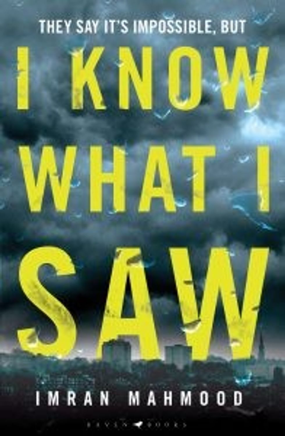 Lead inset book cover I Know What I Saw 9781526627629