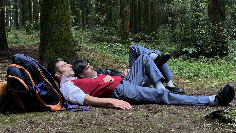 Lead inset Pine Cone still 03