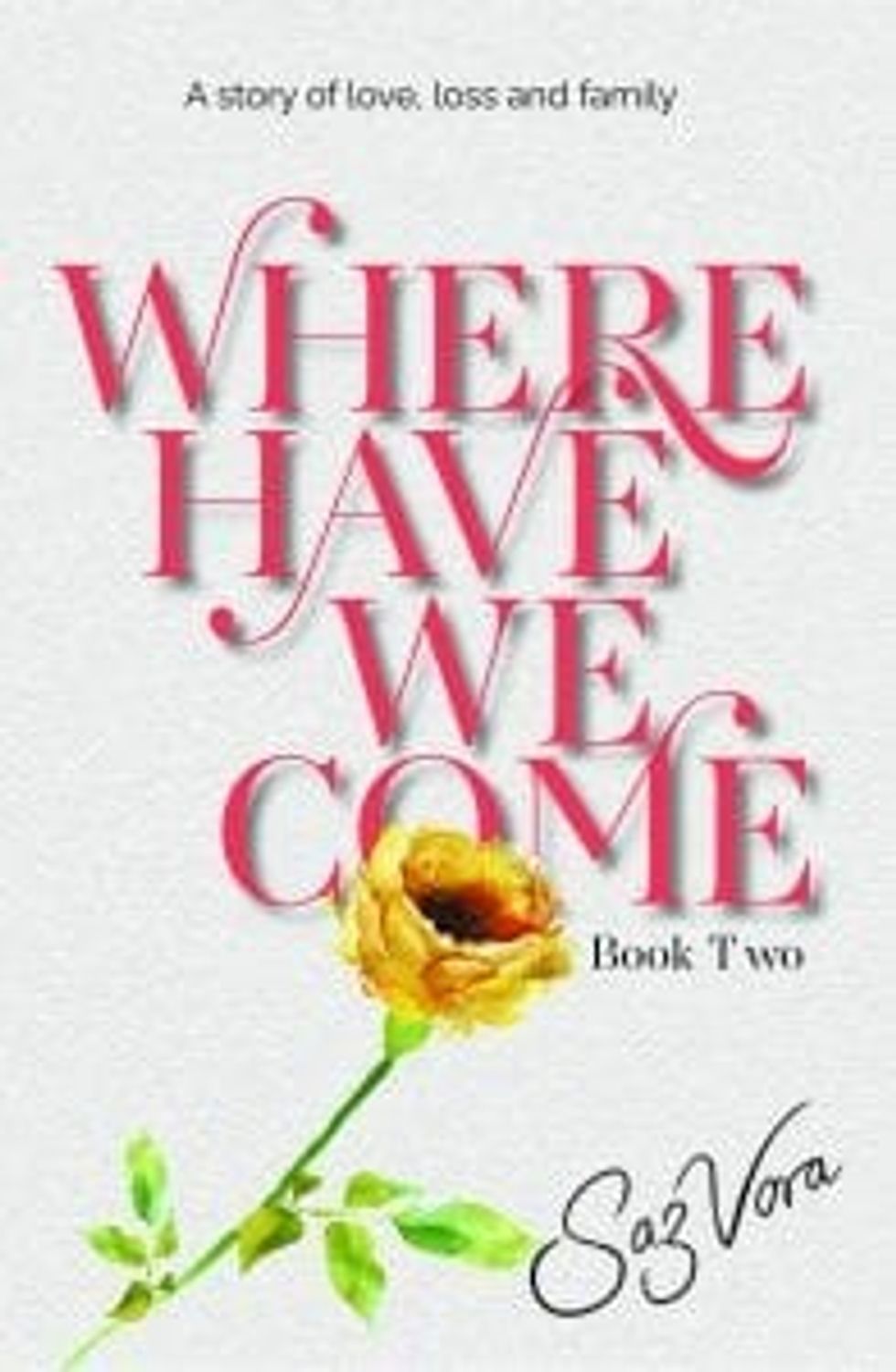 Lead inset Where Have We Come boo cover PAPER CVR FR