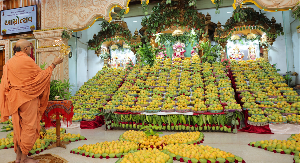 Madhavipriyadas Swami  mango distribution