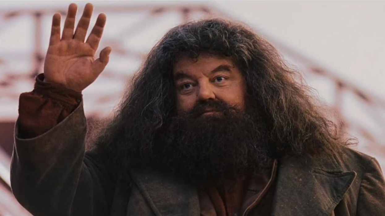 Nick Frost May Play Hagrid in HBO\u2019s \u2018Harry Potter\u2019 Reboot