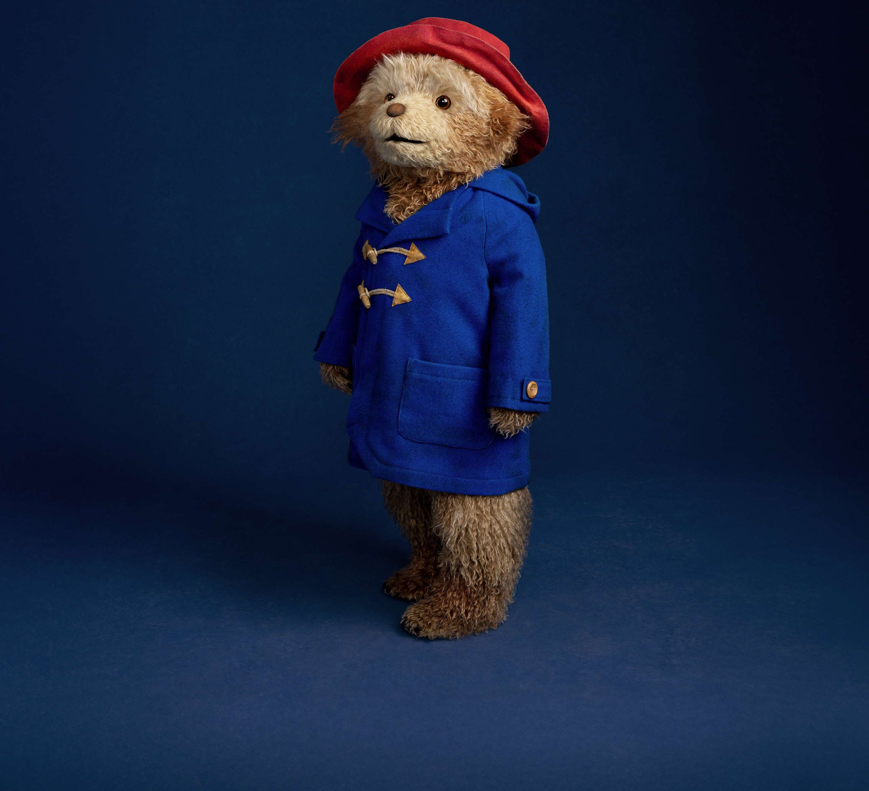 Paddington The Musical