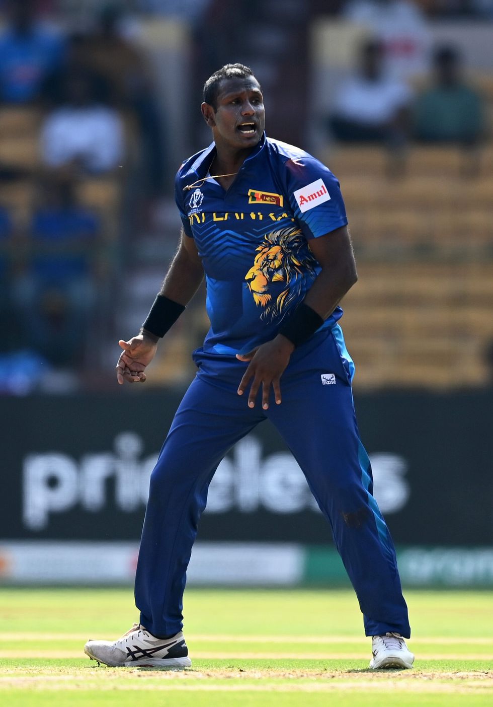 Page 39 lead inset 3 GettyImages 1757532414