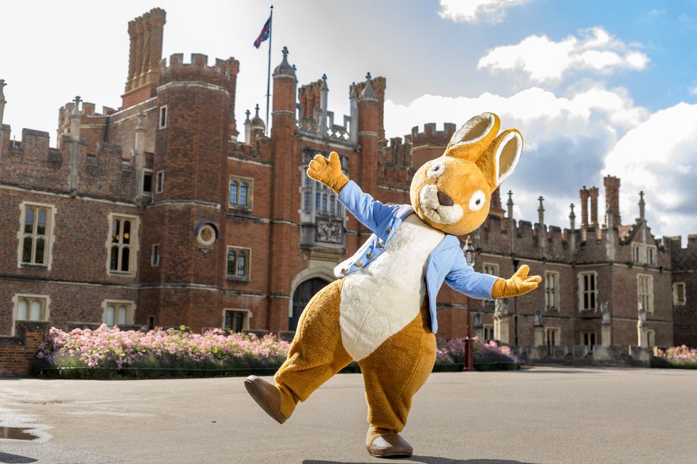 Peter Rabbit