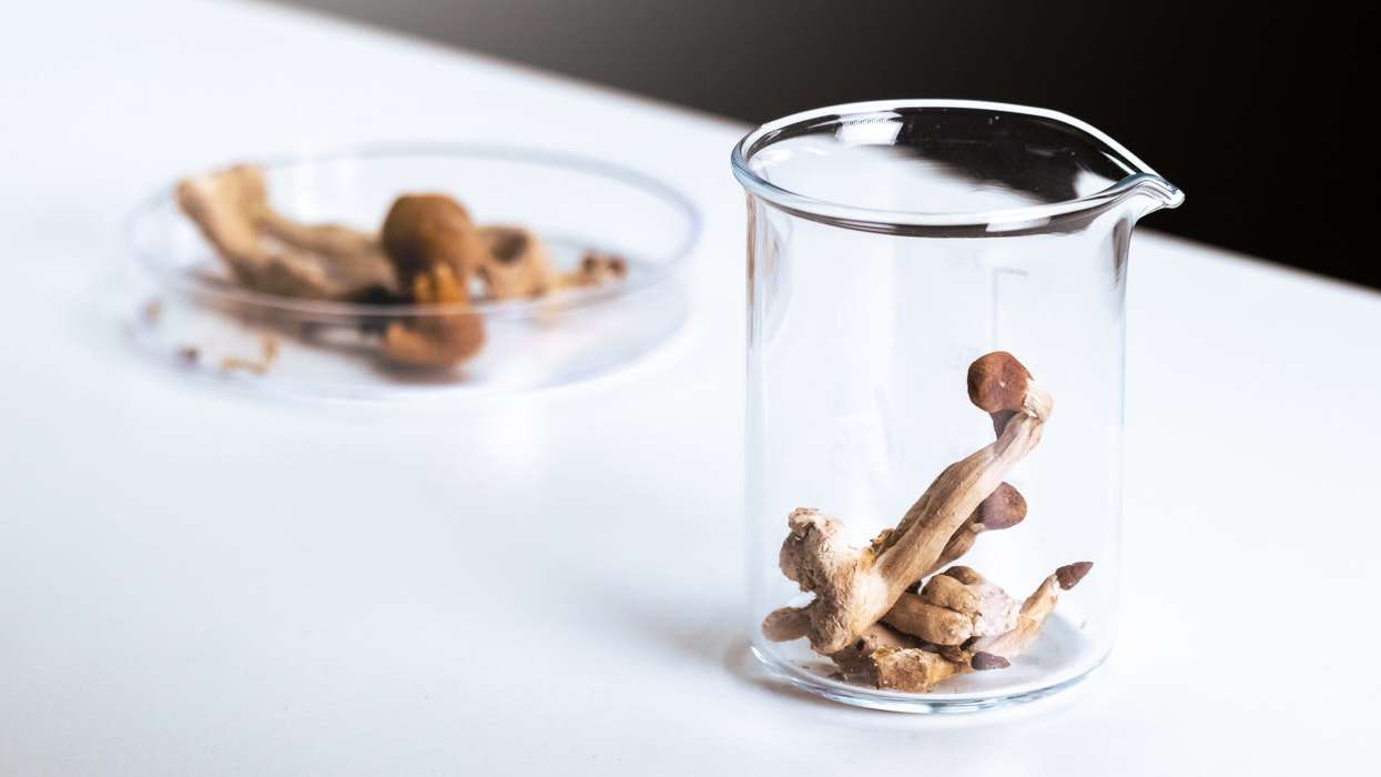 Psilocybin, derived from psychedelic plants, has been used in various cultures for centuries to induce spiritual experiences. (Photo: iStock)