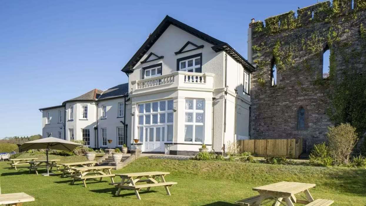 RedCat Hospitality growth