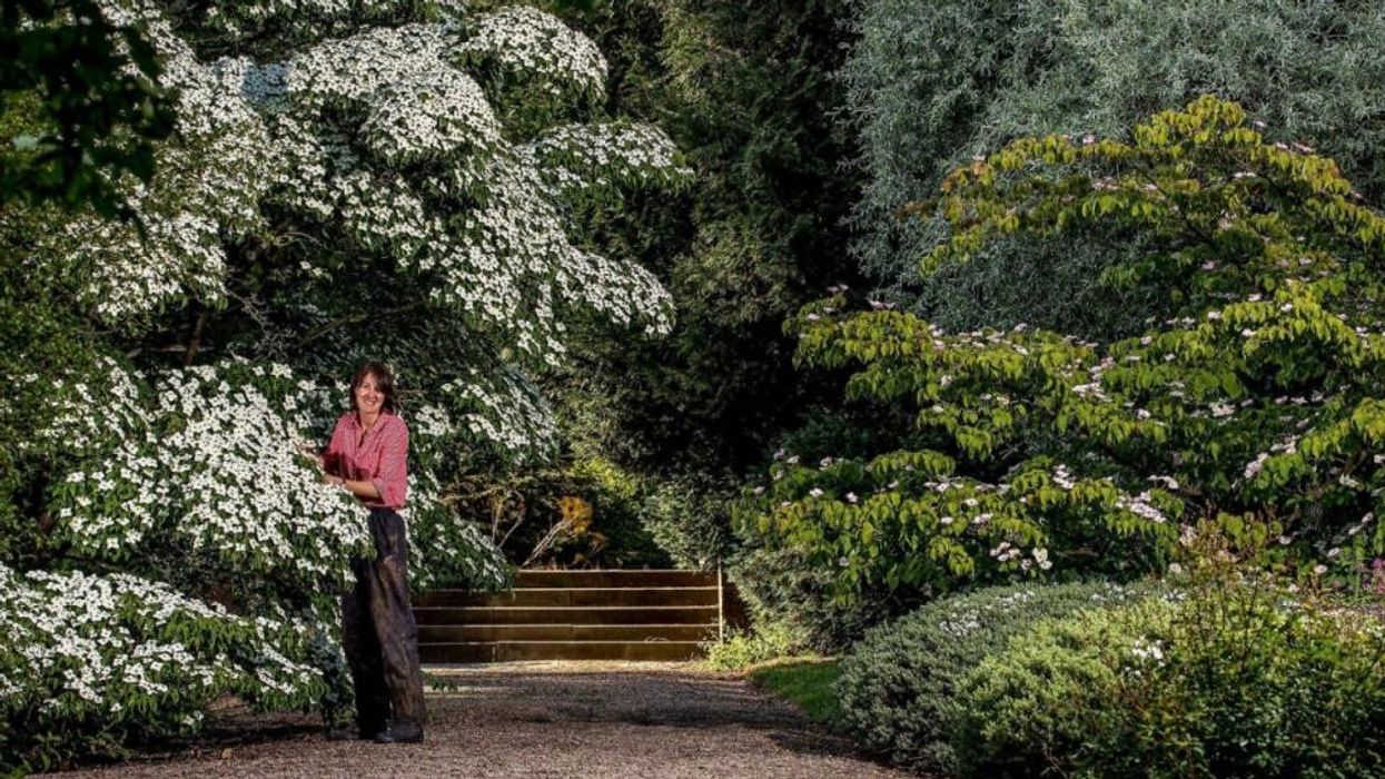 RHS Chelsea Flower Show