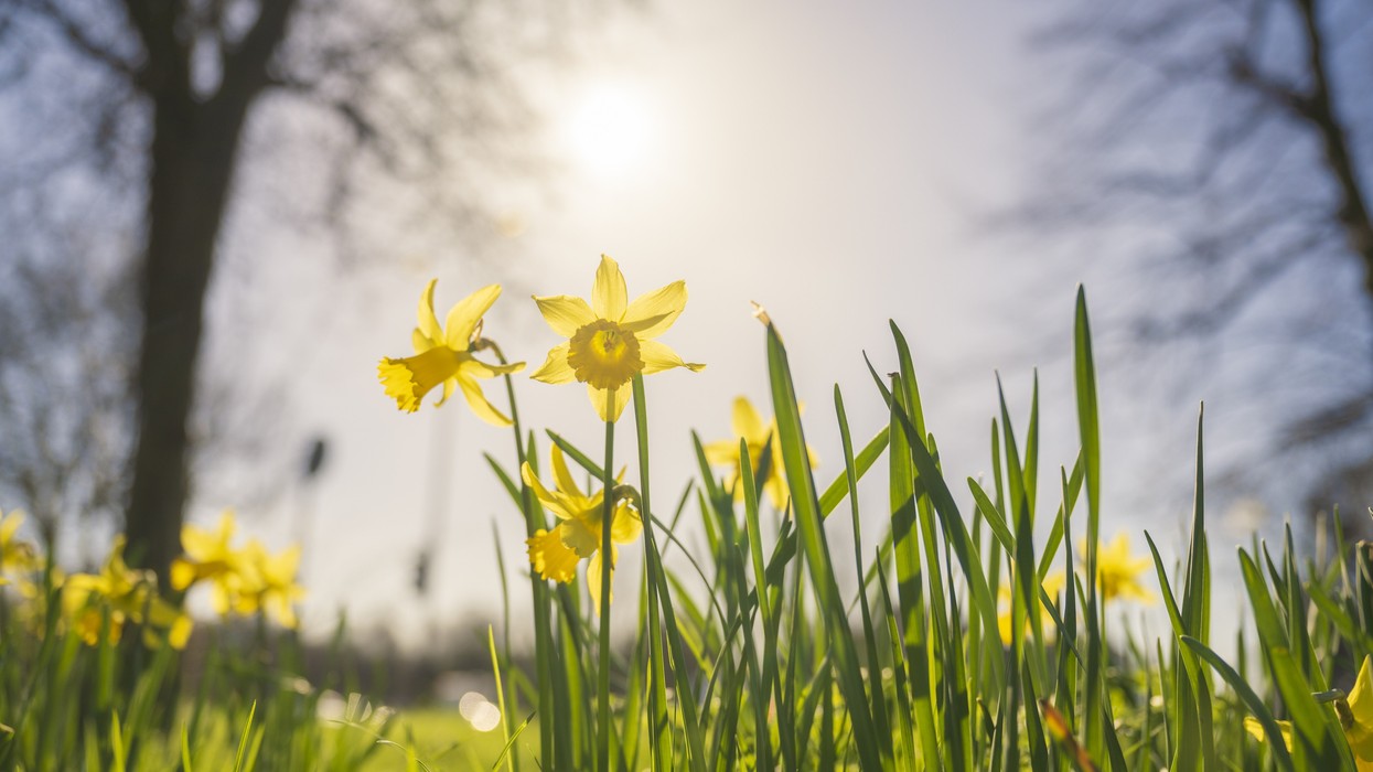 Spring Warming Faster Than Other Seasons in UK: Report | EasternEye
