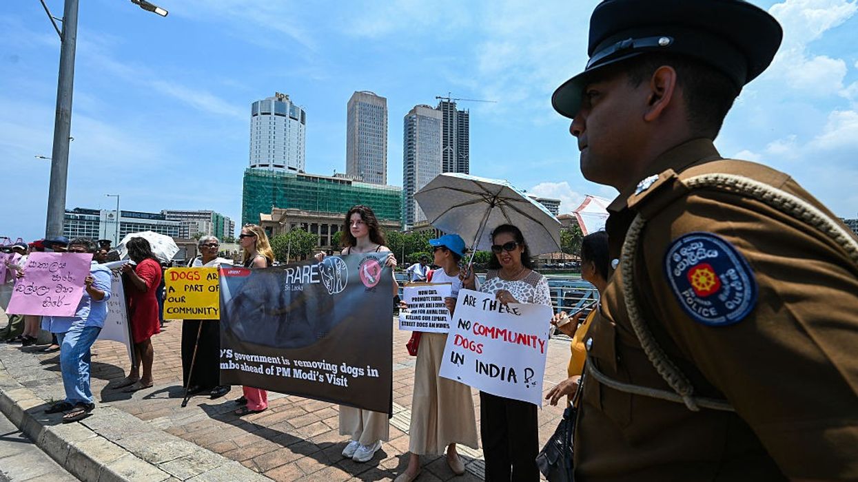 Protest against dog crackdown ahead of Modi's Sri Lanka visit