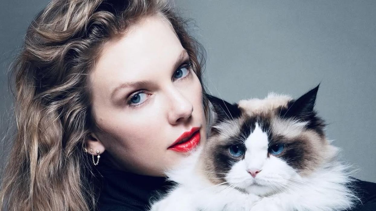 Taylor Swift’s cat obsession