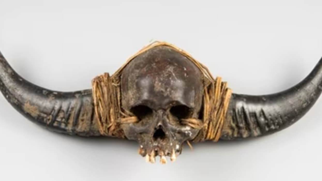 Outcry over Naga skull auction spurs calls for repatriation to India