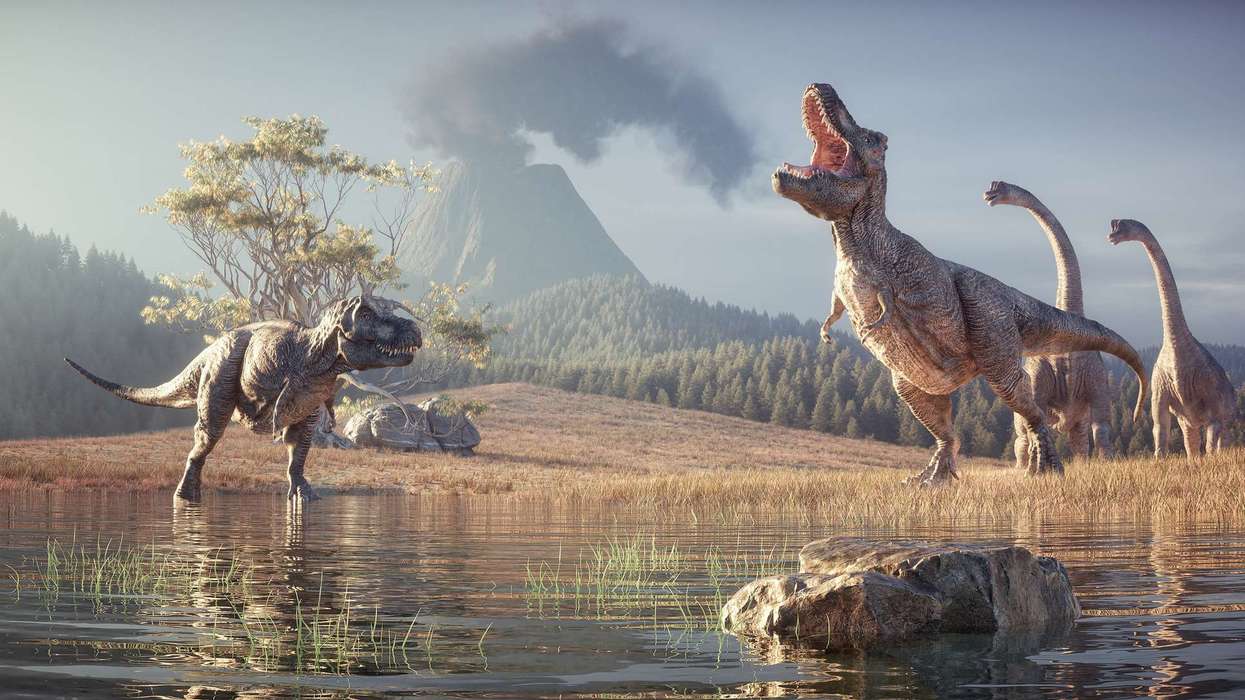 Thailand's new dinosaur species 'Nagatitan' identified as southeast Asia's biggest find