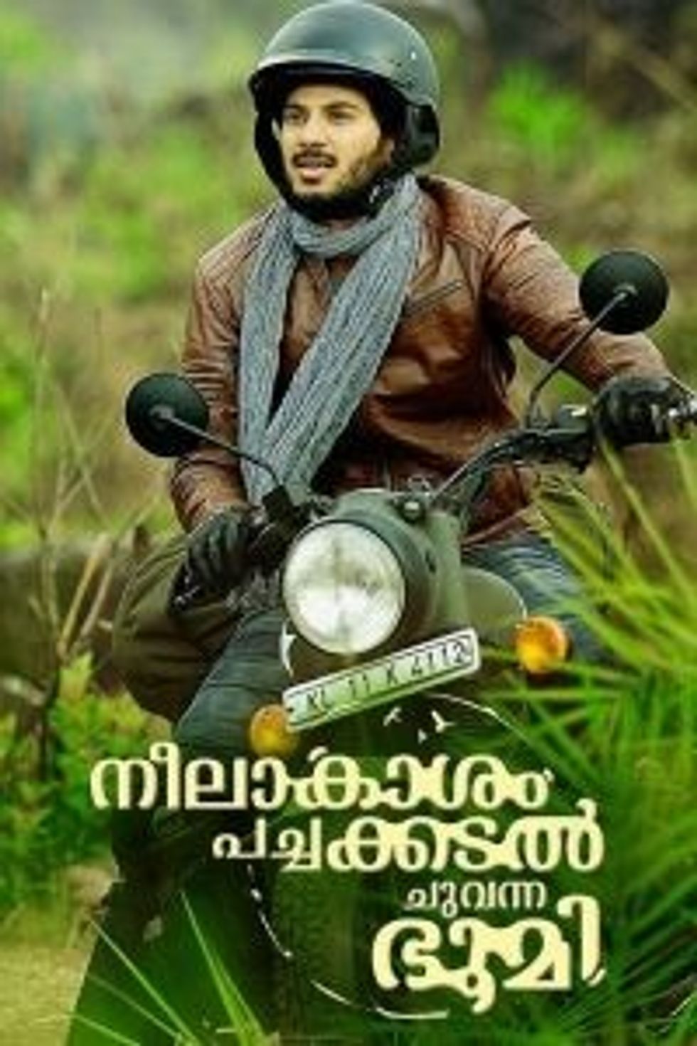 Top 10 Neelakasham Pachakadal Chuvanna Bhoomi 69