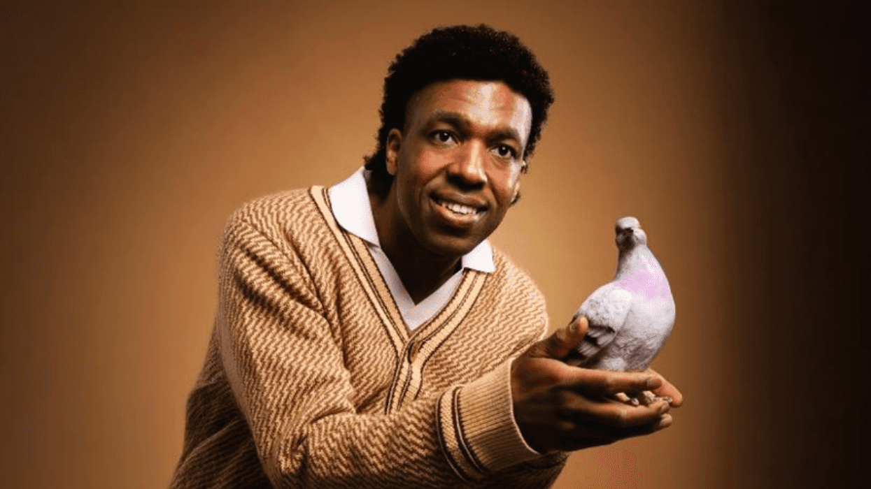 Toussaint Douglass Accessible Pigeon Material India