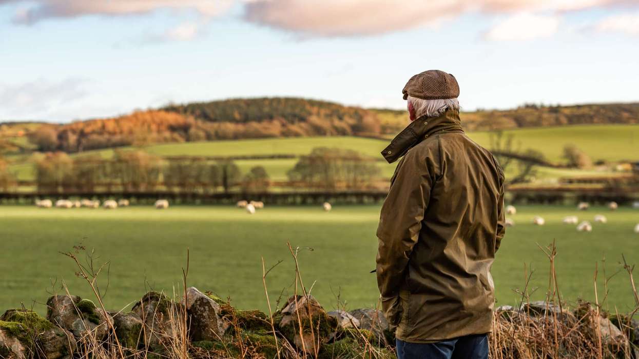 UK Farmers