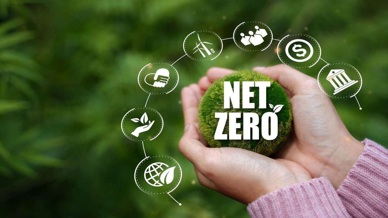 UK Net Zero Economy