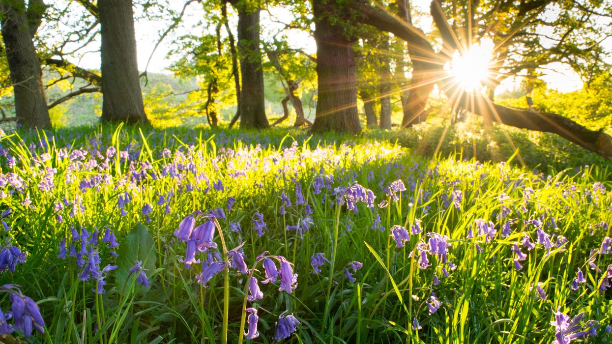 UK records sunniest spring