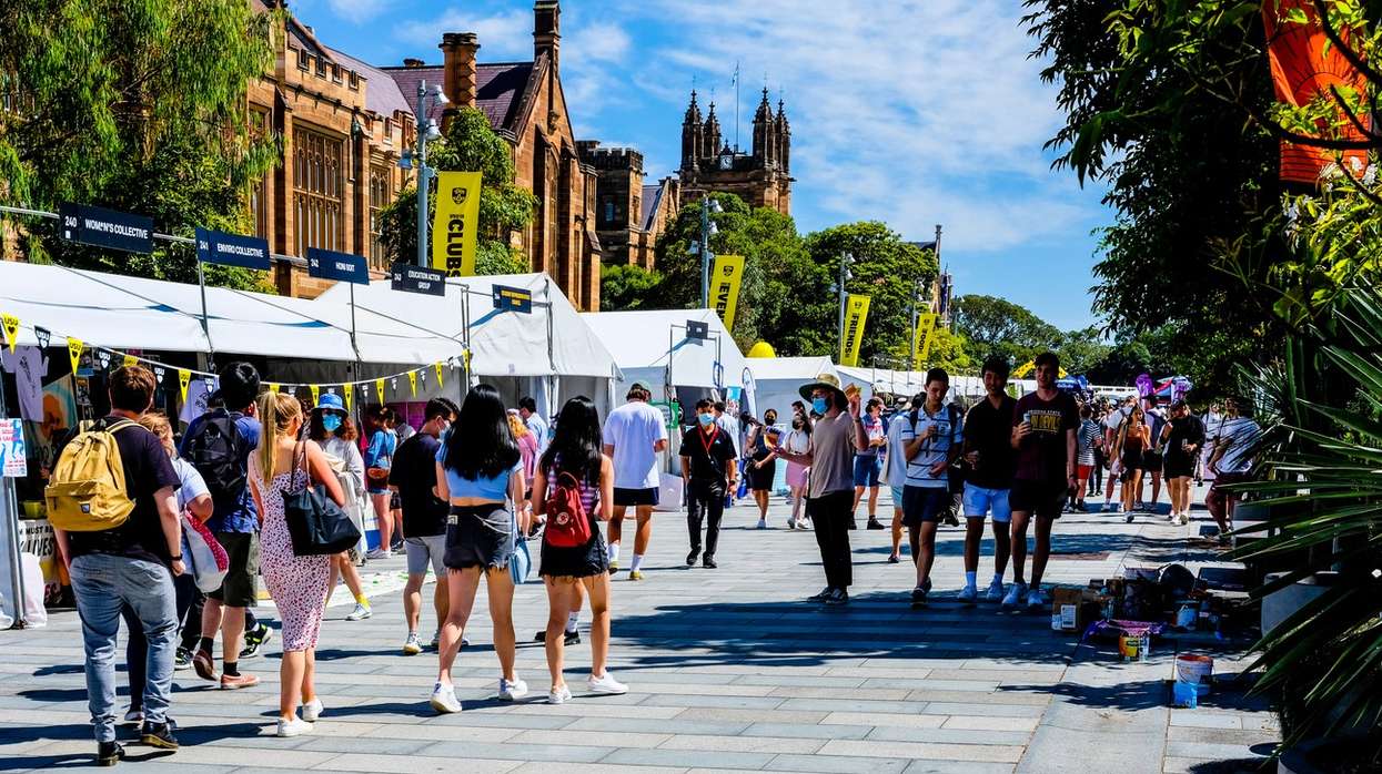 UK student visa applications decline
