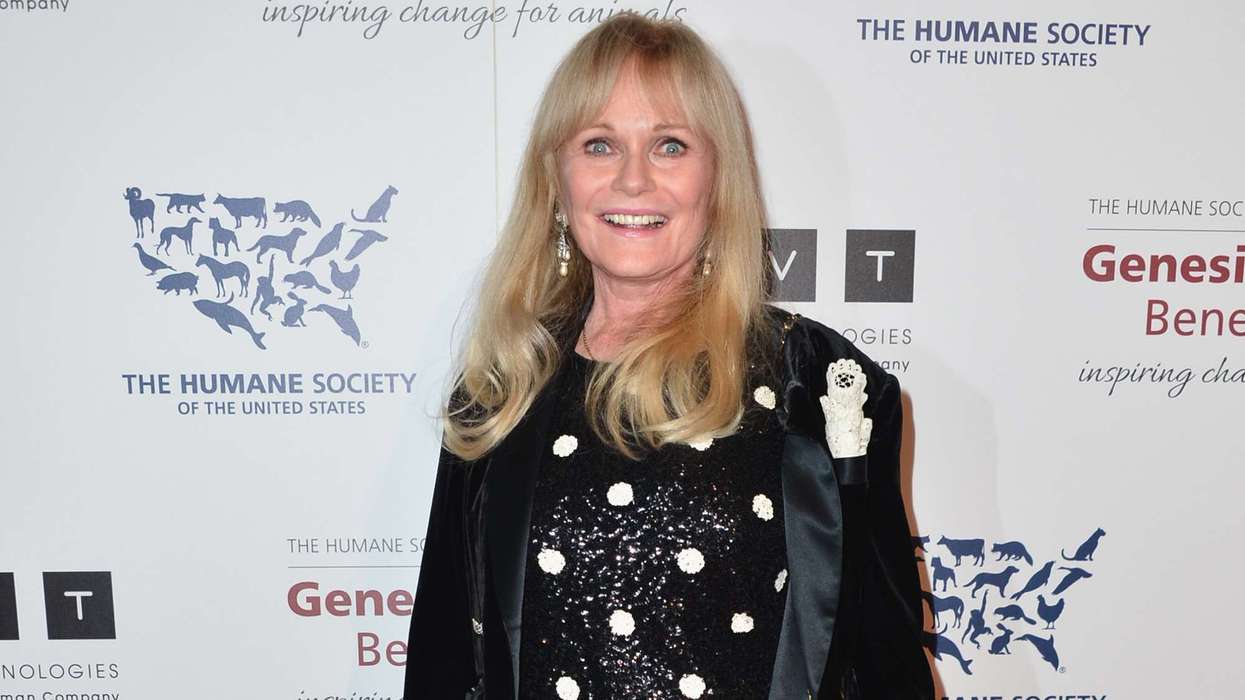 Valerie Perrine, Oscar-nominated 'Lenny' actress and 'Superman' favourite, dies aged 82