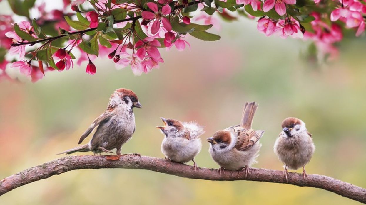 Warm spring weather