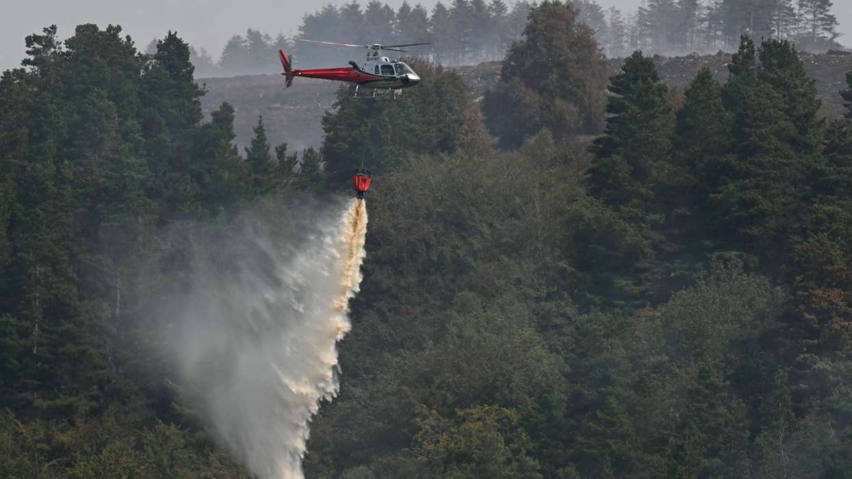 Wildfires