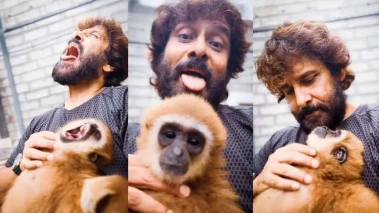 Vikram’s lar gibbon video: India's forest department starts probe into exotic animal trade