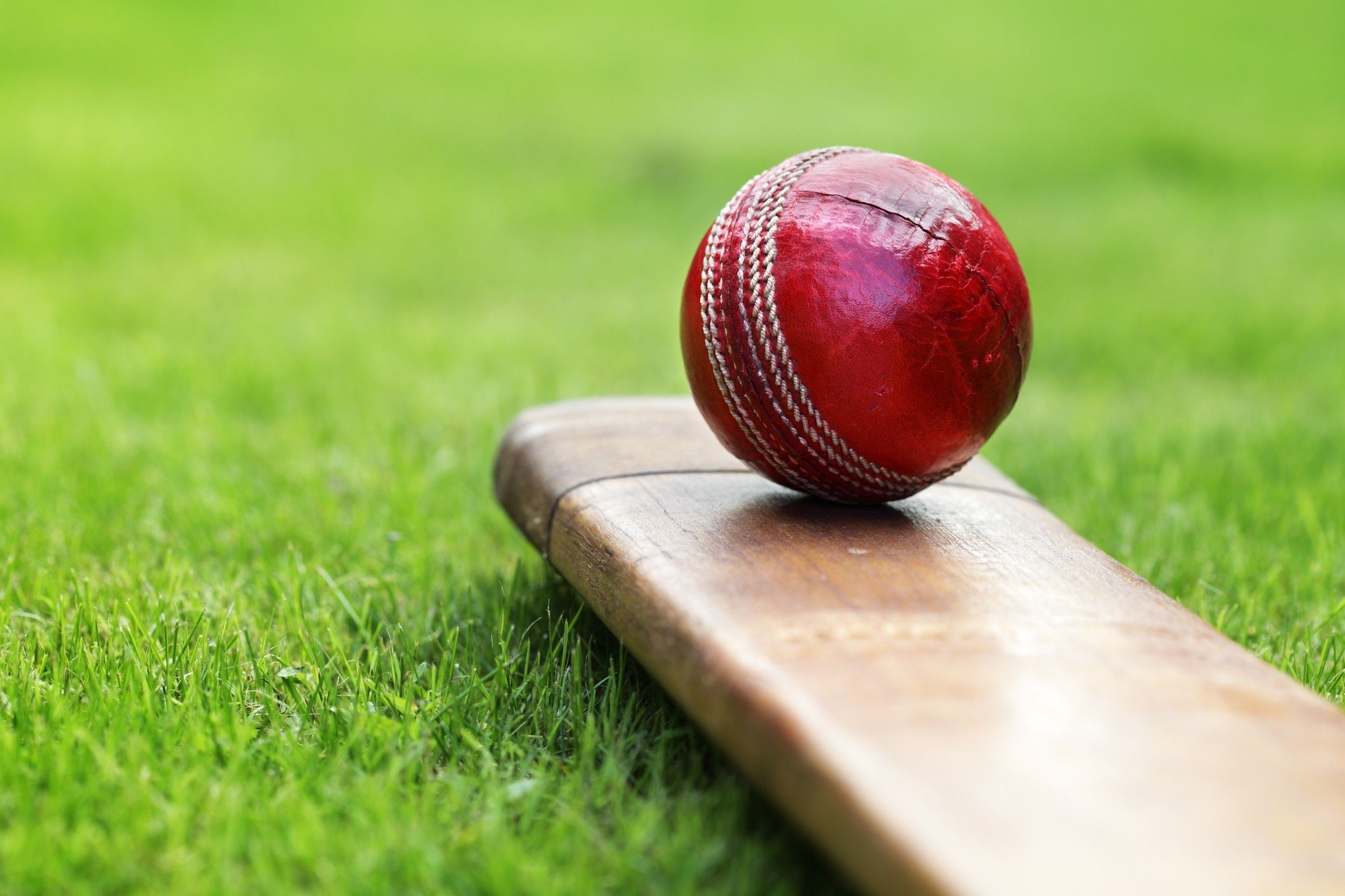Marylebone Cricket Club rejects bamboo bats, says it will be illegal