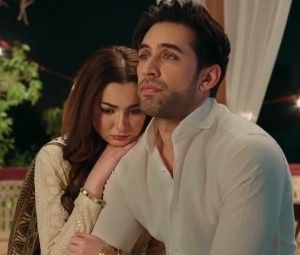 Ali Rehman Khan: We’ve a responsibility to point society in the right direction 1 Sidebar inset Parde Mein Rehne Do 1