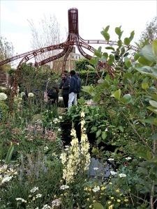 The Mangrove Garden