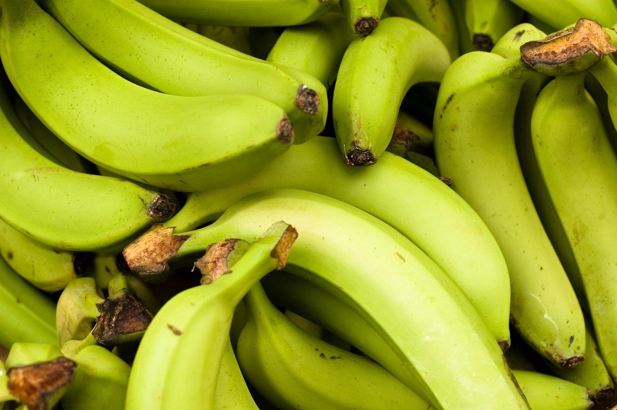 Green bananas can reduce the risk of the deadly disease that kills 10