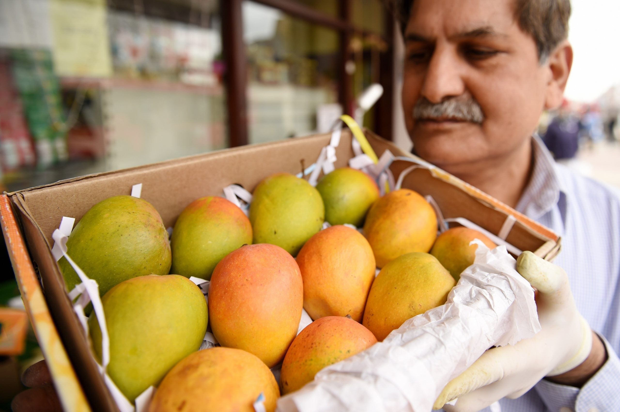 Innovative marketing Indian mango trader launches monthly instalment