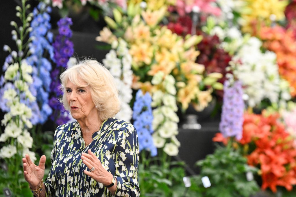 King Charles and Queen Camilla visit the Chelsea Flower Show