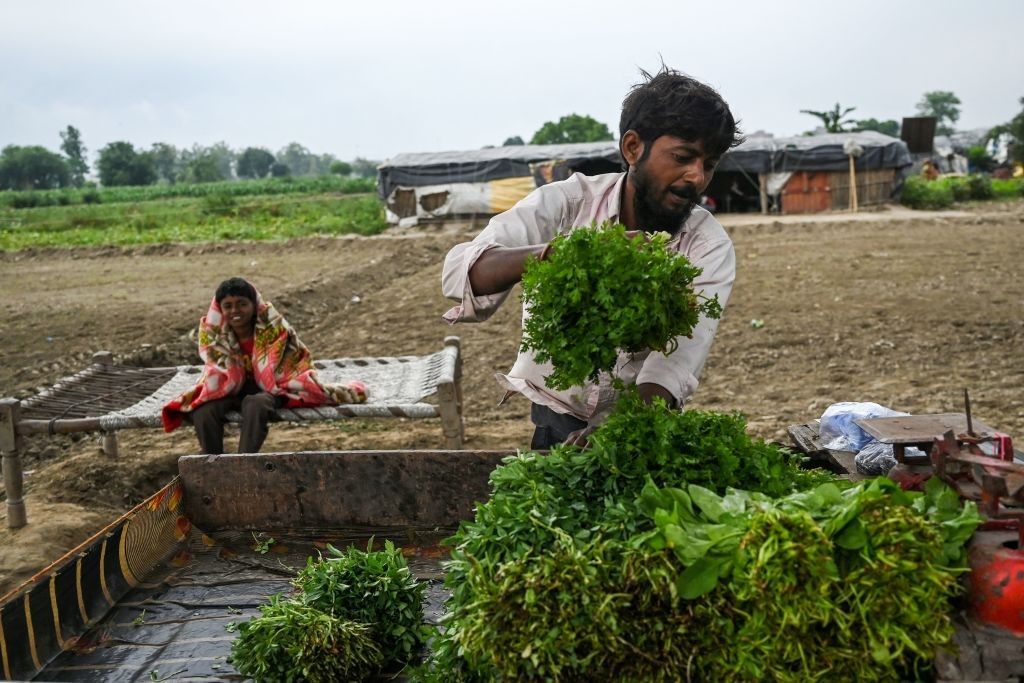 record-low-rains-threaten-summer-crops-in-india-easterneye