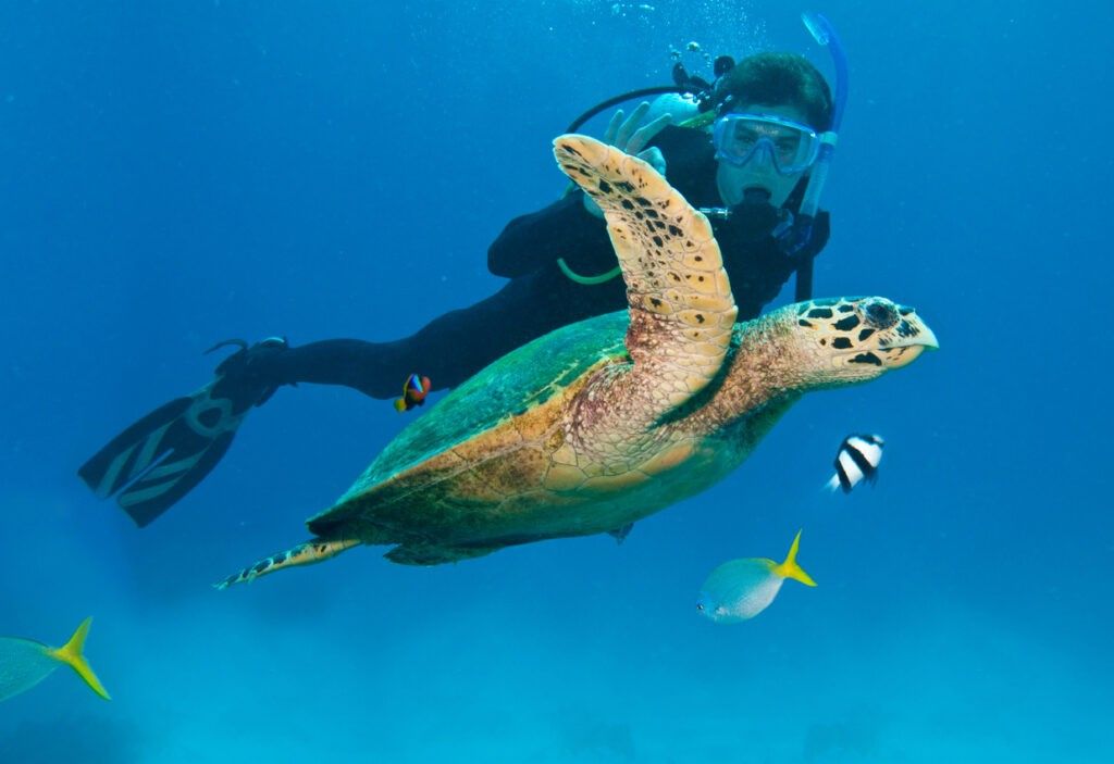 australia-great-barrier-reef-last-chance-tourism