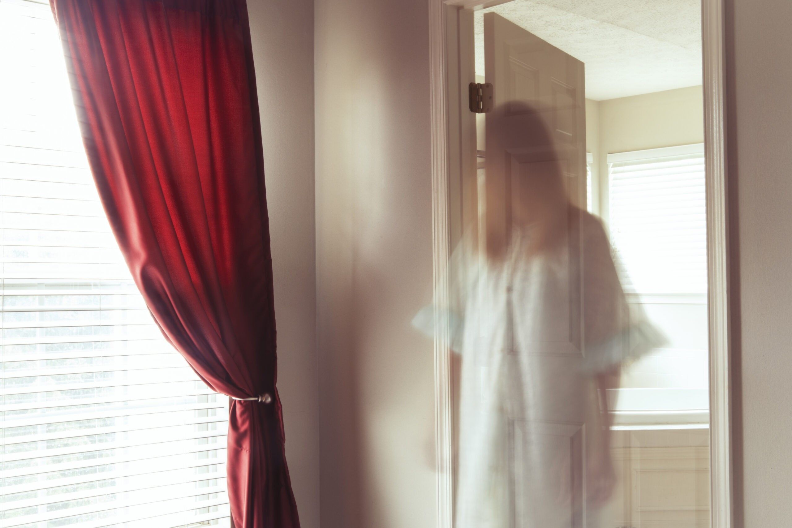 ‘Spooky, but helpful’, says woman who ‘spoke’ with her dead mother with AI’s help 2 chat-bot-ai-project-december